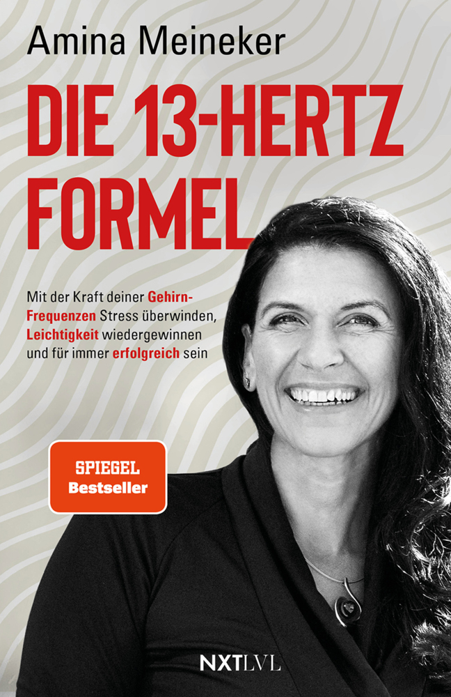 Die 13 Hertz Formel main product photo