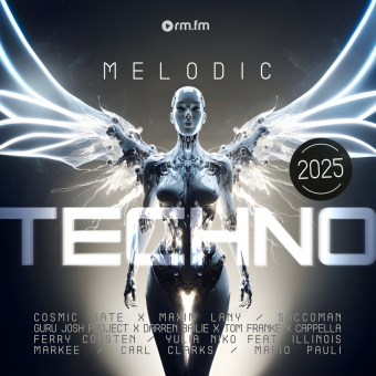 Melodic Techno 2025, 1 Schallplatte