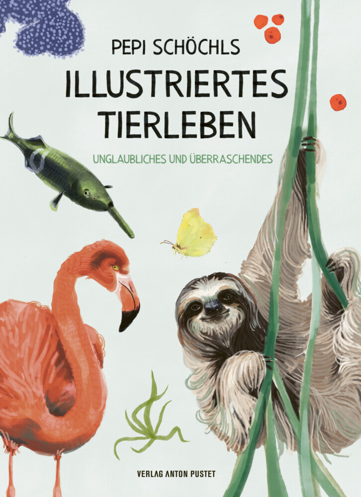 Pepi Schöchls illustriertes Tierleben main product photo