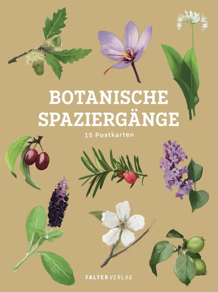 Botanische Spaziergänge - Postkartenbuch main product photo