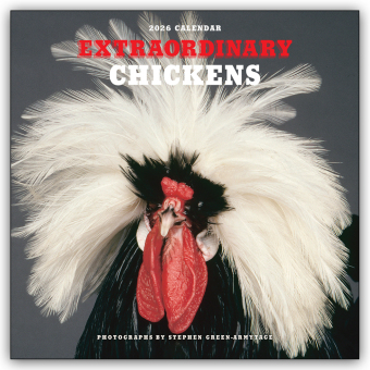 Extraordinary Chickens - Außergewöhnliche Hühner 2026 - Wandkalender - Original Harry N. Abrams Kalender [Mehrsprachig] [Kalender]