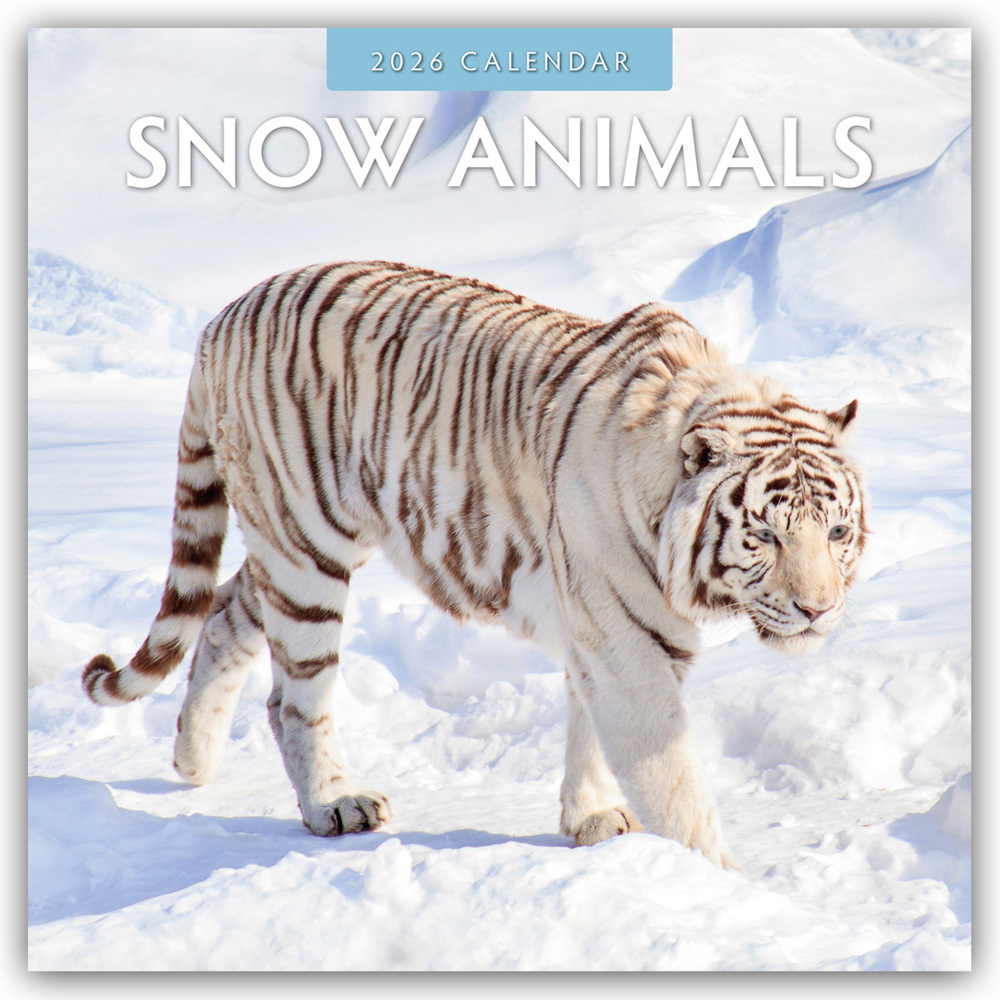 Snow Animals - Arktische Tiere 2026 - 16-Monatskalender main product photo
