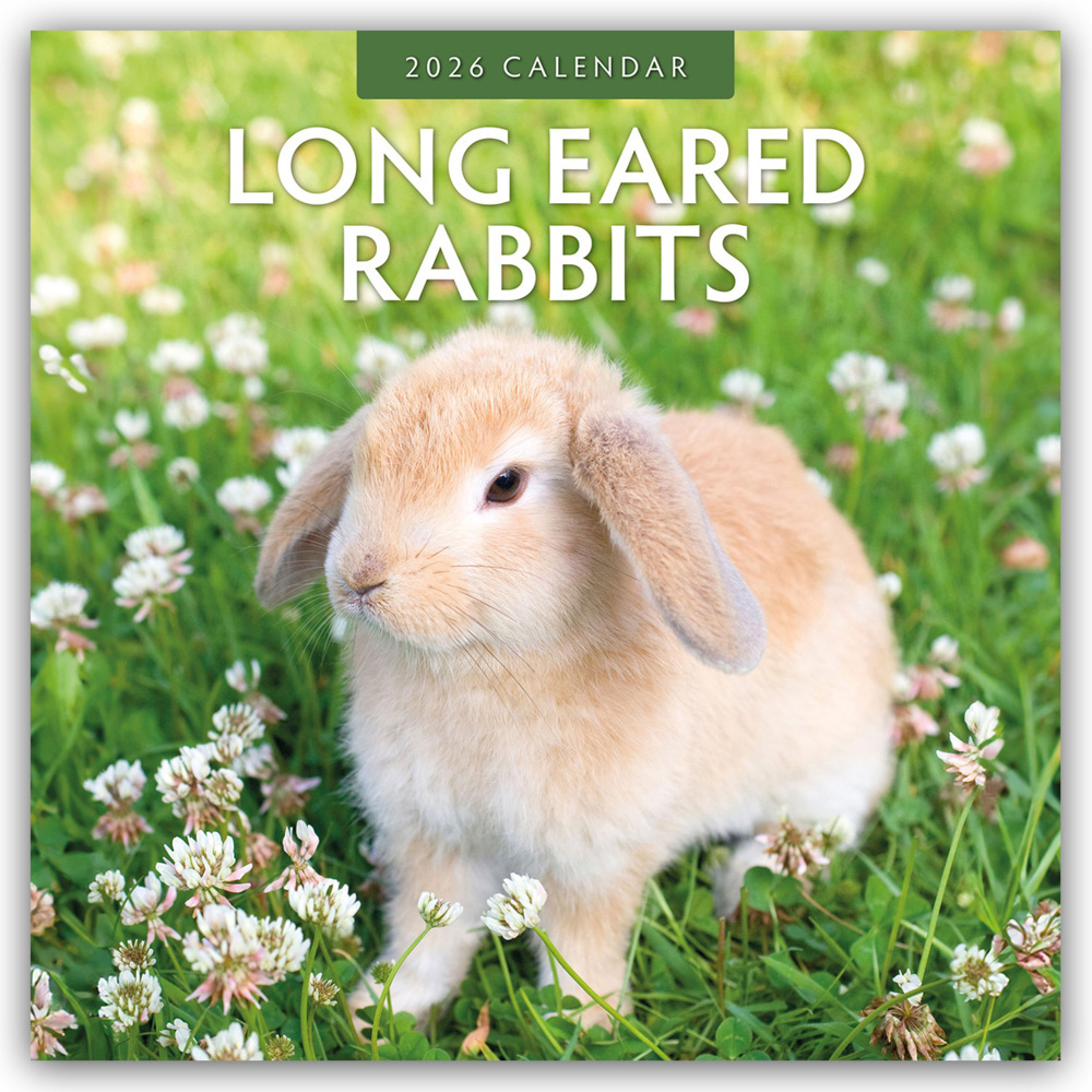 Long Eared Rabbits - Langohrhasen 2026 - 16-Monatskalender main product photo