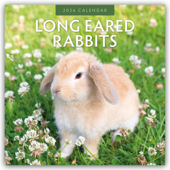 Long Eared Rabbits - Langohrhasen 2026 - 16-Monatskalender