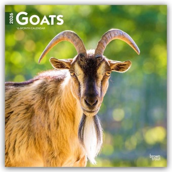 Goats - Ziegen 2026 - 16-Monatskalender