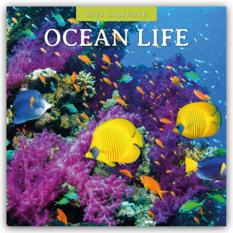 Ocean Life - Leben im Ozean 2026 - 16-Monatskalender