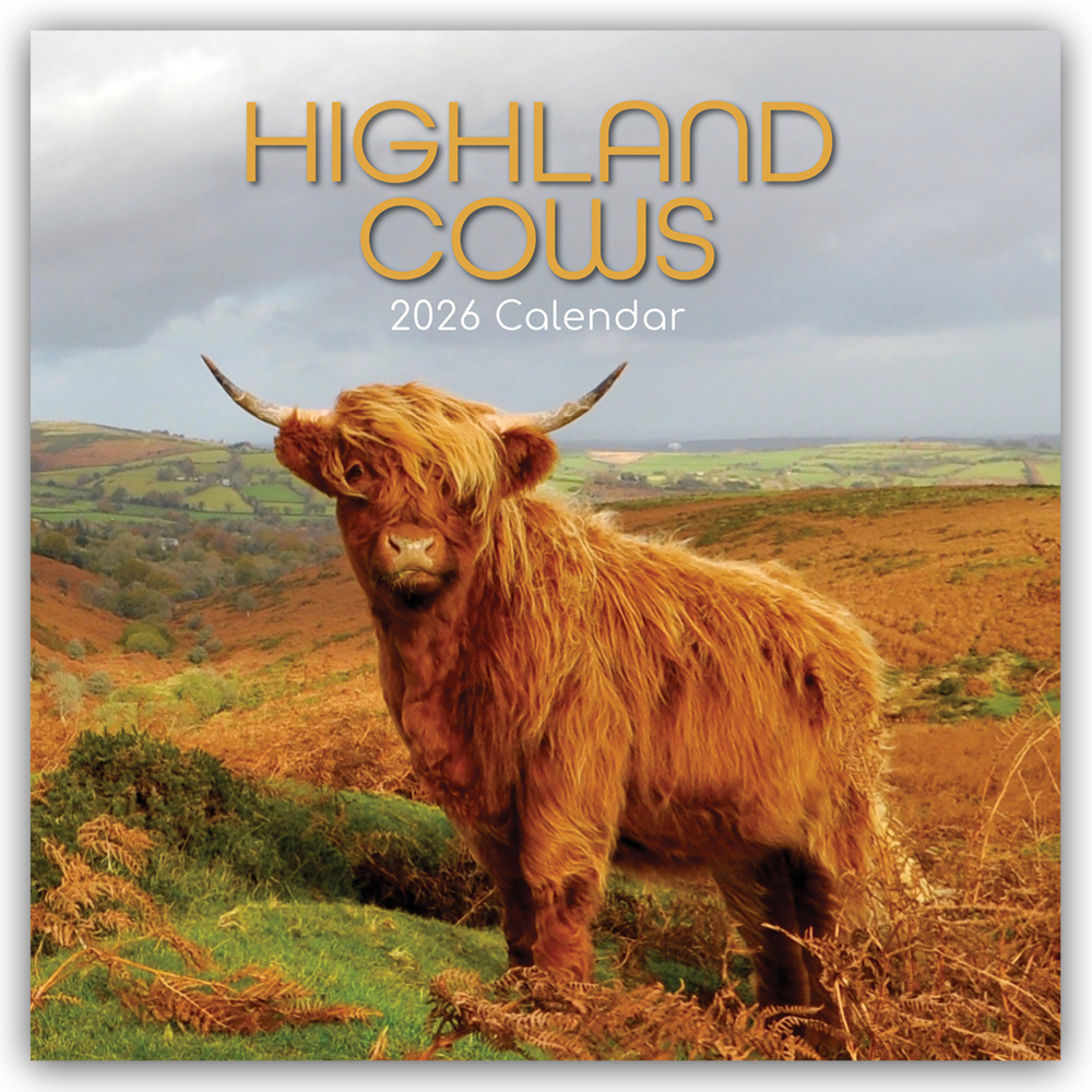 Highland Cows - Hochland-Kühe - Hochlandrinder 2026 - 16-Monatskalender main product photo