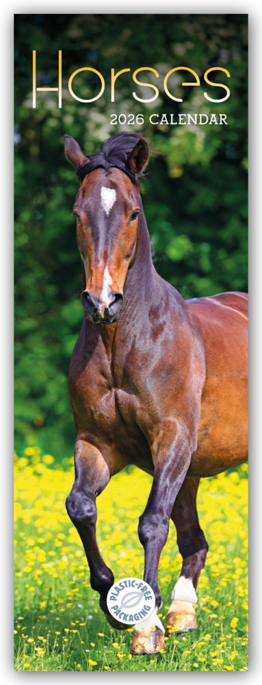 Horses - Pferde 2026 - Slimline-Kalender main product photo