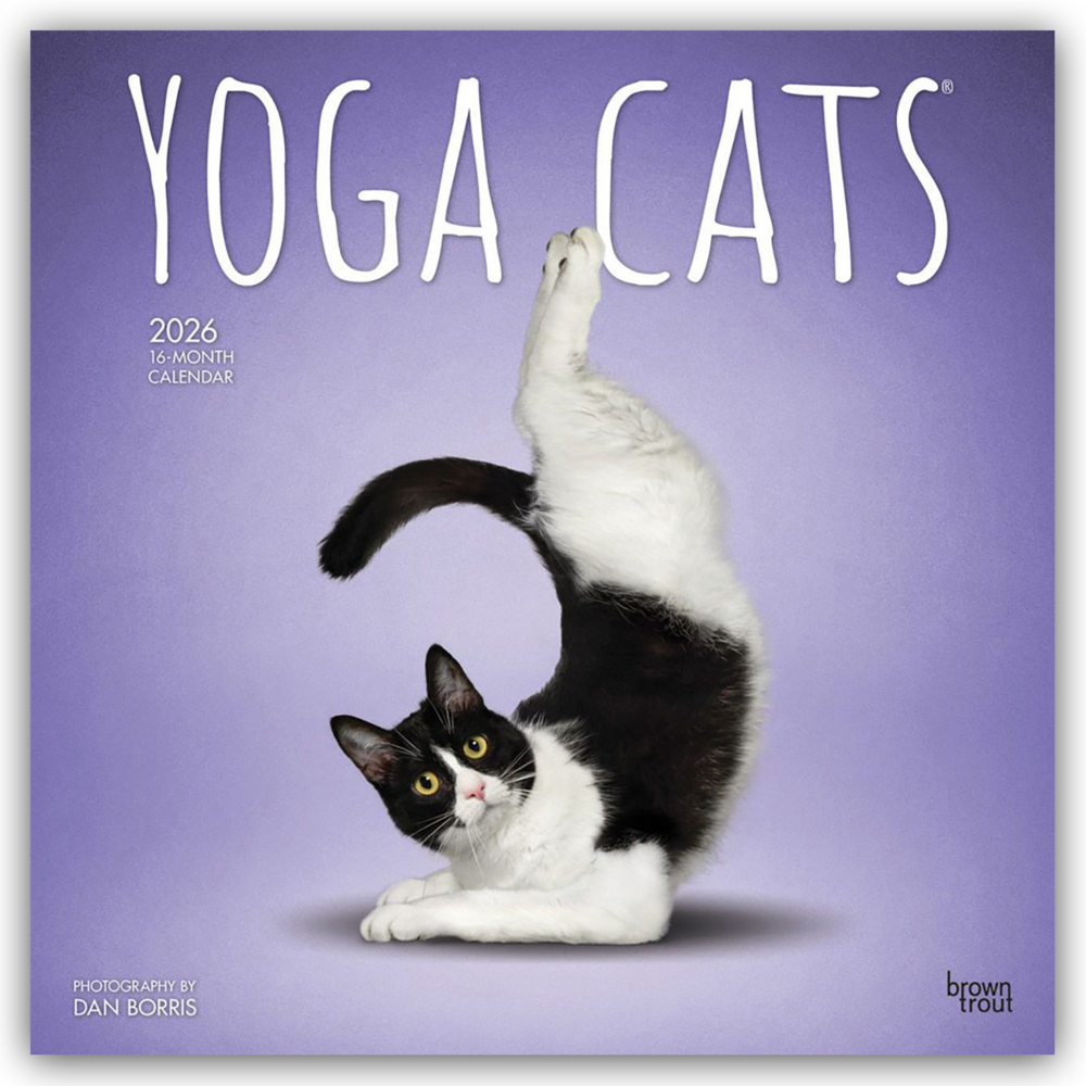 Yoga Cats - Katzen Yoga 2026 - 16-Monatskalender main product photo