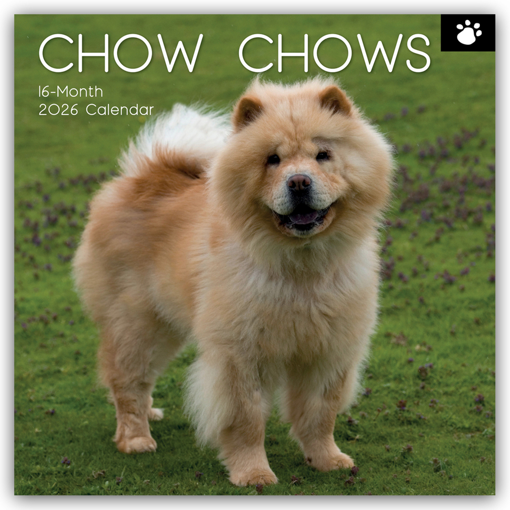 Chow Chows 2026 - 16-Monatskalender main product photo
