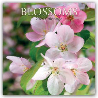 Blossoms - Blüten 2026 - 16-Monatskalender