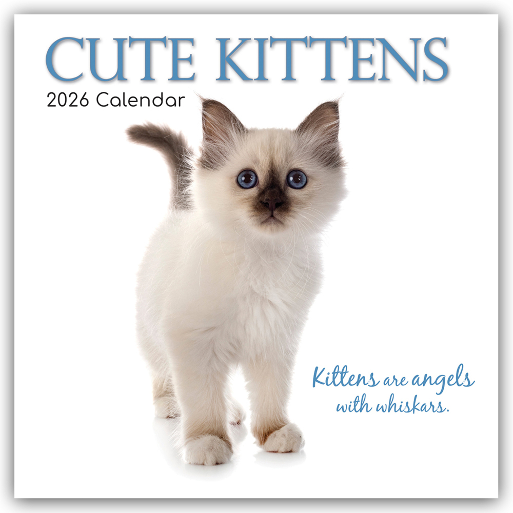 Cute Kittens - Niedliche Kätzchen 2026 - 16-Monatskalender main product photo