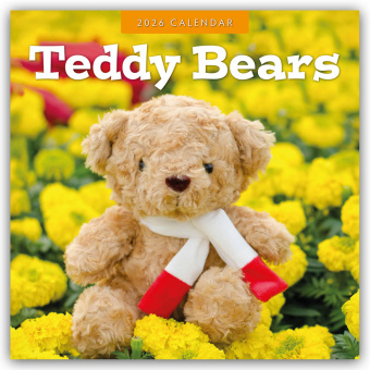 Teddy Bears - Teddybären 2026 - 16-Monatskalender