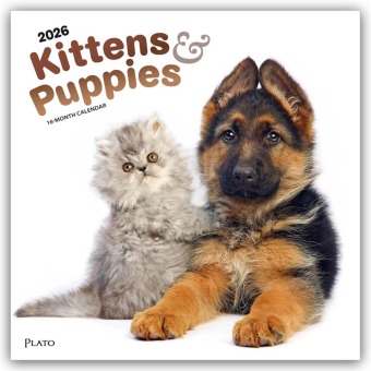 Kittens & Puppies - Kätzchen & Welpen 2026 - 16-Monatskalender