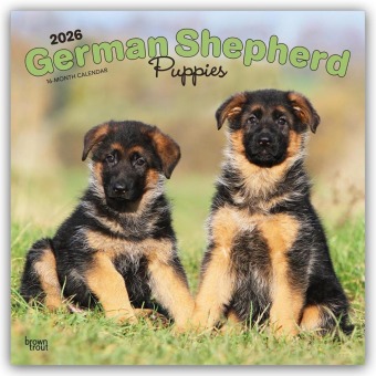 German Shepherd Puppies - Deutsche Schäferhund Welpen 2026 - 16-Monatskalender