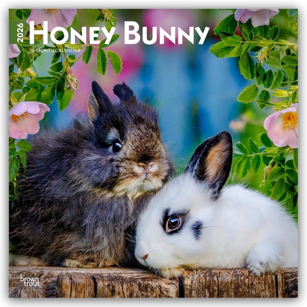 Honey Bunny - Süße Häschen 2026 - 16-Monatskalender main product photo