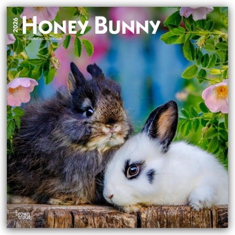 Honey Bunny - Süße Häschen 2026 - 16-Monatskalender