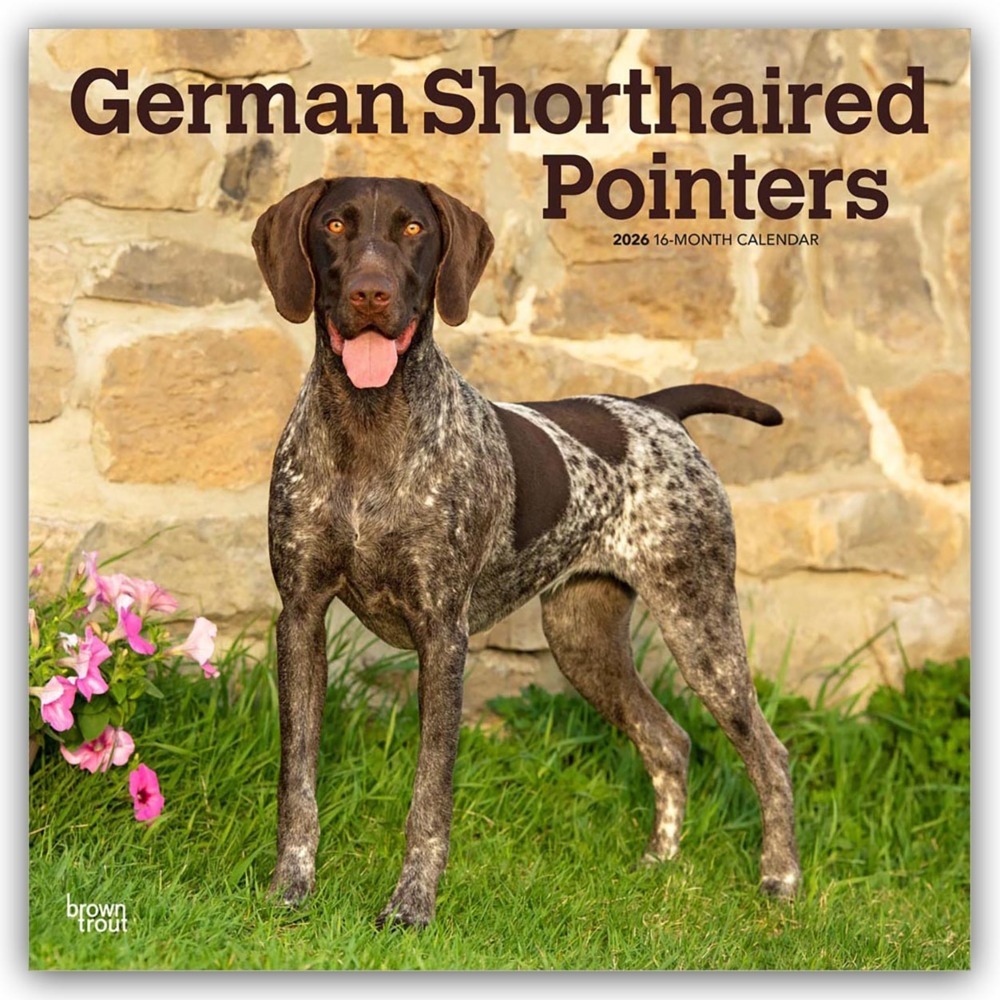 German Shorthaired Pointers - Deutsch Kurzhaar 2026 - 16-Monatskalender main product photo