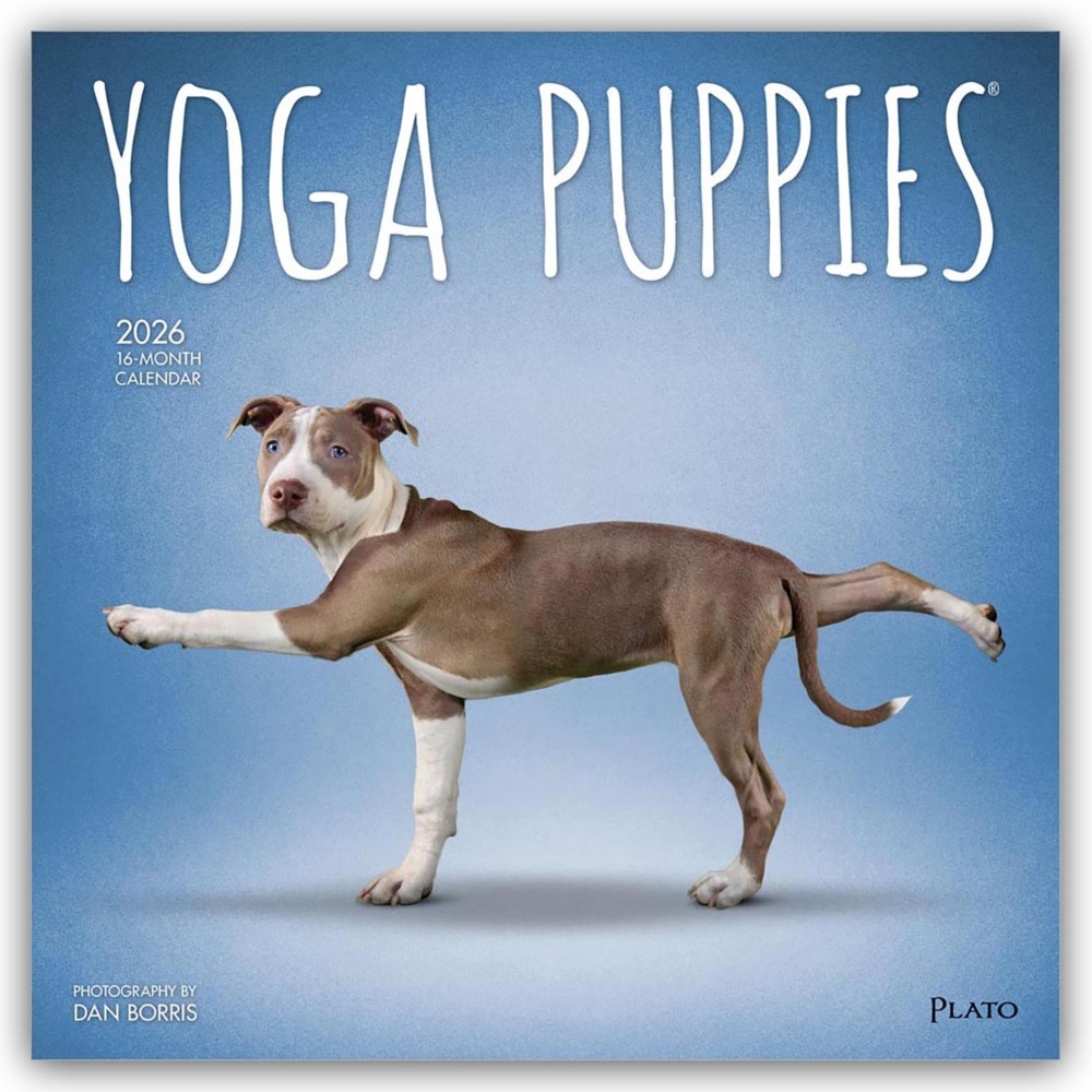 Yoga Puppies - Welpen Yoga 2026 - 16-Monatskalender main product photo