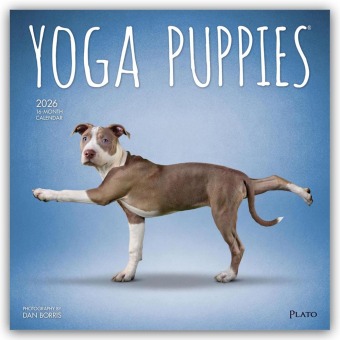 Yoga Puppies - Welpen Yoga 2026 - 16-Monatskalender