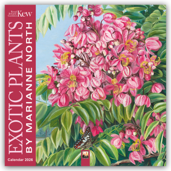 Marianne North, Exotic Plants - Exotische Pflanzen 2026 - Original Flame Tree Publishing-Kalender [Kalender]