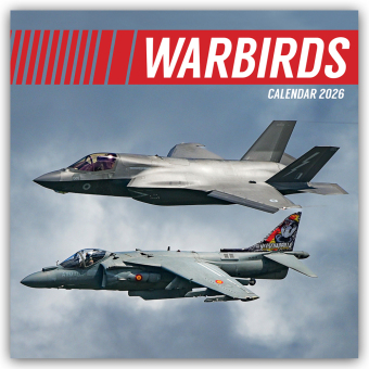 Warbirds - Kampfflugzeuge 2026 - 16-Monatskalender