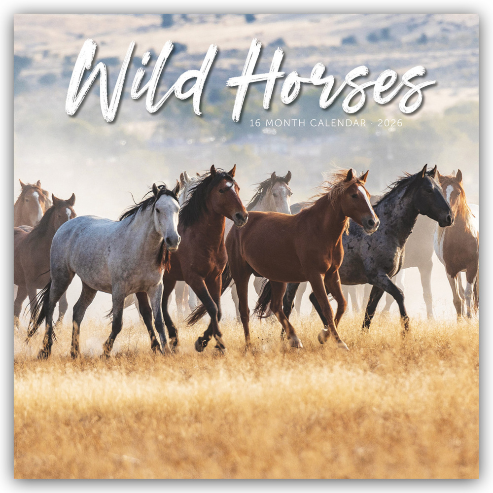Wild Horses - Wildpferde 2026 - Wand-Kalender main product photo