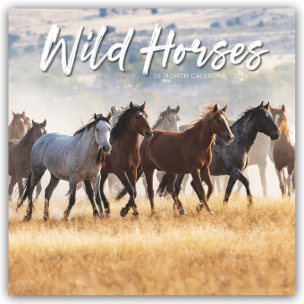 Wild Horses - Wildpferde 2026 - Wand-Kalender
