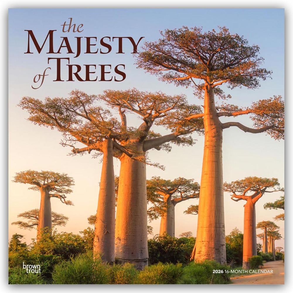 The Majesty of Trees - Die Erhabenheit der Bäume 2026 - 16-Monatskalender main product photo