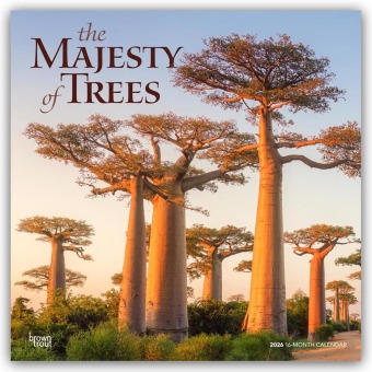 The Majesty of Trees - Die Erhabenheit der Bäume 2026 - 16-Monatskalender