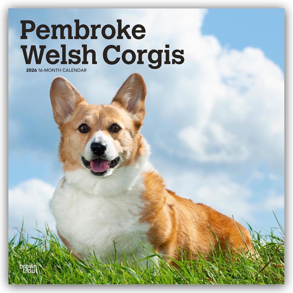 Pembroke Welsh Corgis - Pembroke Welsh Corgi 2026 - 16-Monatskalender main product photo