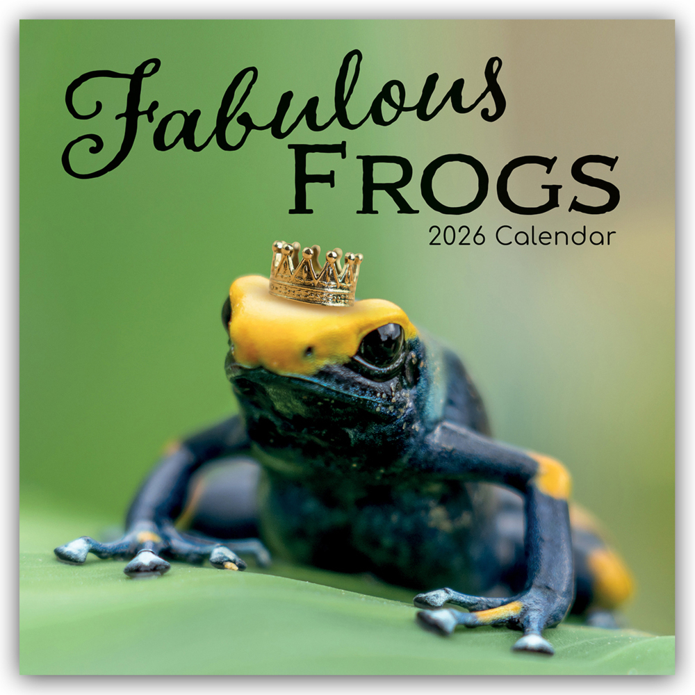 Fabulous Frogs - Fabelhafte Frösche 2026 - 16-Monatskalender main product photo