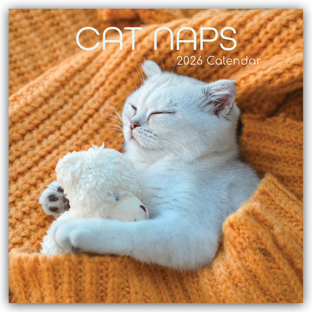 Cat Naps - Träumende Katzen 2026 - 16-Monatskalender main product photo