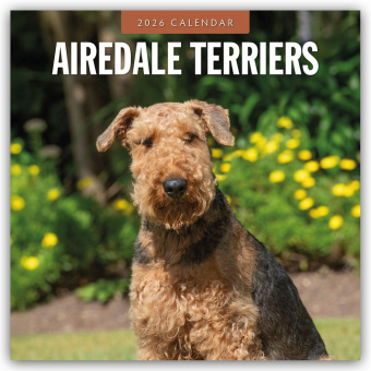 Airdale Terriers - Airdale Terrier 2026 - 16-Monatskalender