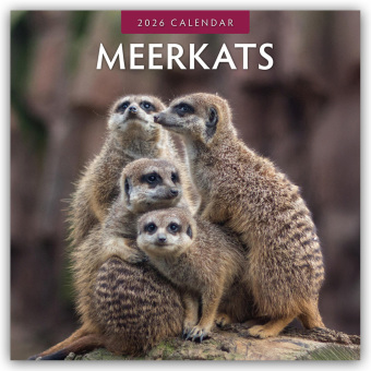 Meerkats - Erdmännchen 2026 - 16-Monatskalender