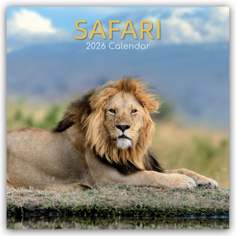 Safari 2026 - 16-Monatskalender