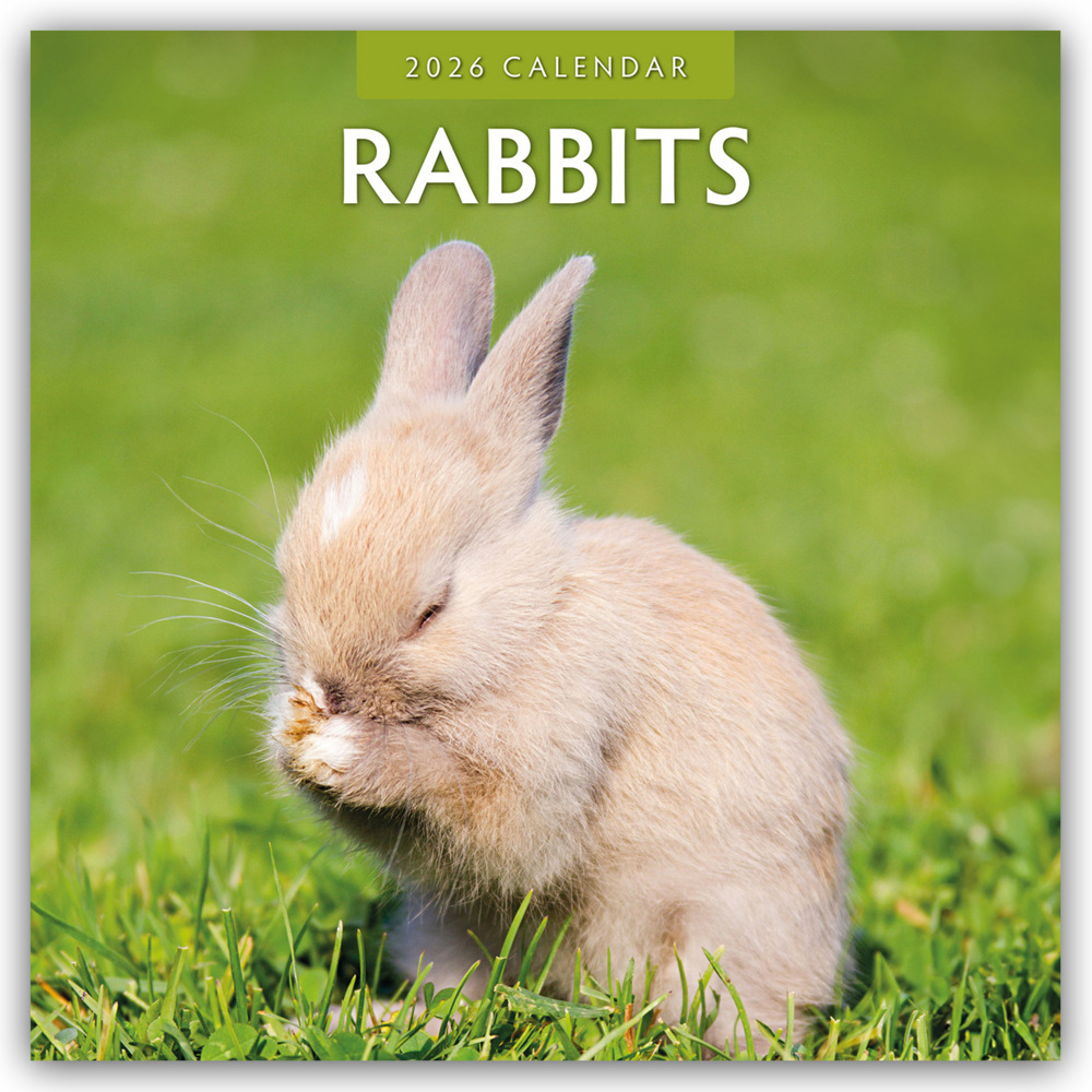 Rabbits - Hasen - Kaninchen 2026 - 16-Monatskalender main product photo