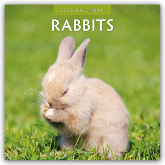 Rabbits - Hasen - Kaninchen 2026 - 16-Monatskalender