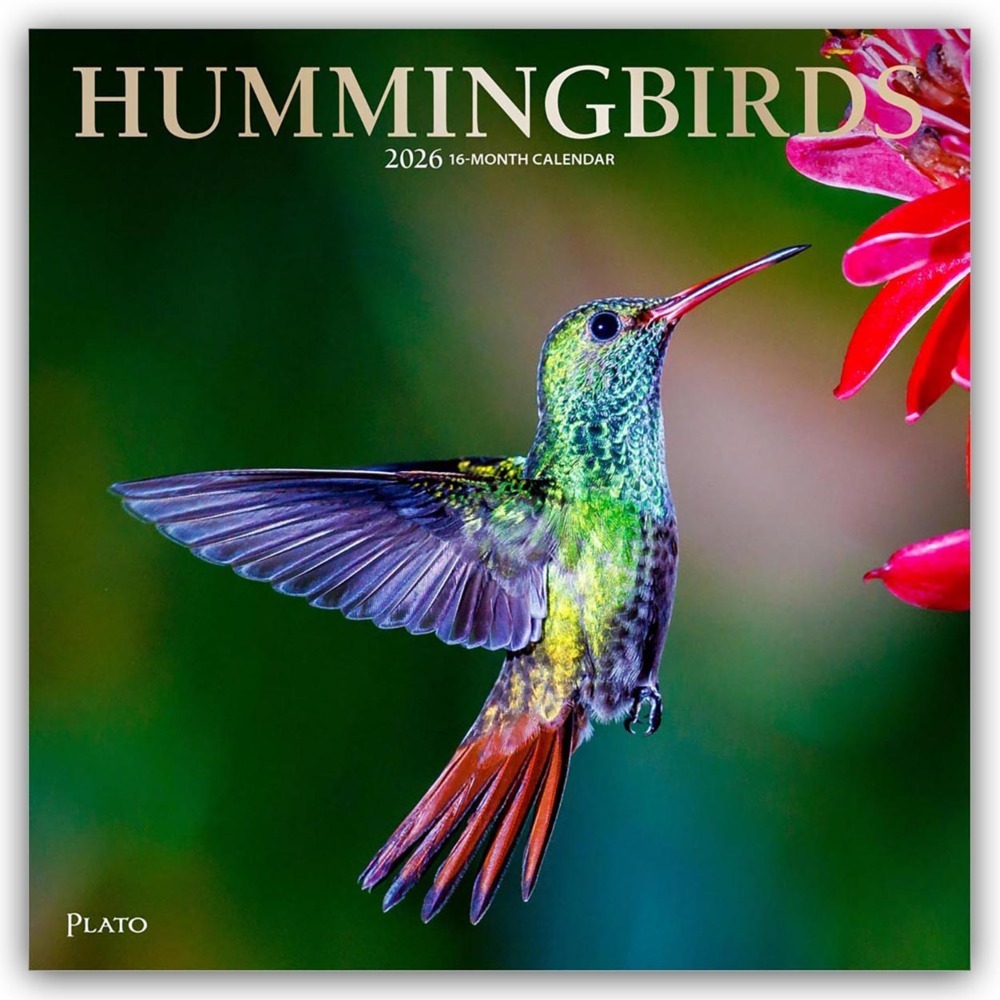 Hummingbirds - Kolibris 2026 - 16-Monatskalender main product photo