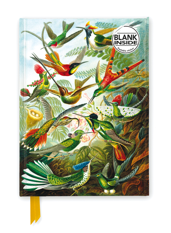 Premium Notizbuch Blank DIN A5: Ernst Haeckel, Kolibris main product photo