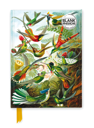 Premium Notizbuch Blank DIN A5: Ernst Haeckel, Kolibris