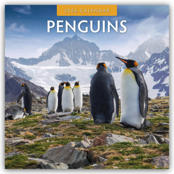 Penguins - Pinguine 2026 - 16-Monatskalender