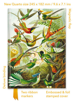 Premium Notizbuch Quartformat: Ernst Haeckel, Kolibris