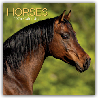 Horses - Pferde 2026 - 16-Monatskalender