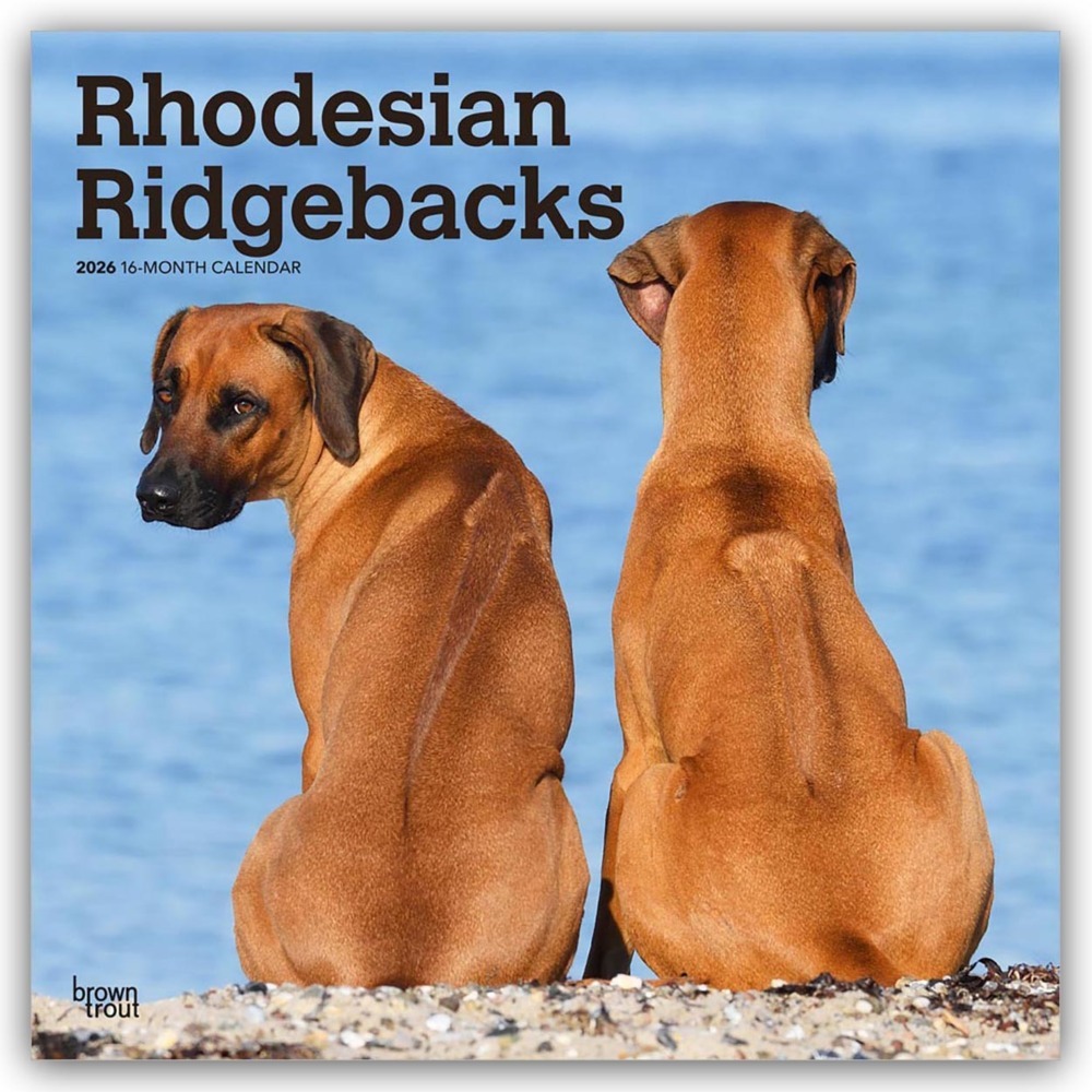 Rhodesian Ridgebacks - Rhodesian Ridgeback 2026 - 16-Monatskalender main product photo
