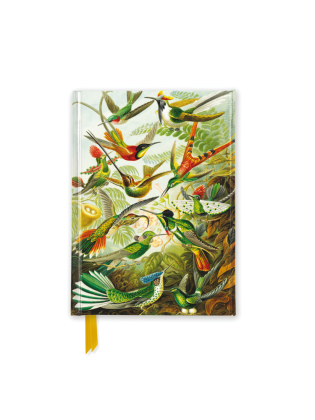 Premium Notizbuch DIN A6: Ernst Haeckel, Kolibris