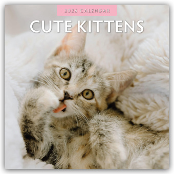 Cute Kittens - Niedliche Kätzchen 2026 - 16-Monatskalender