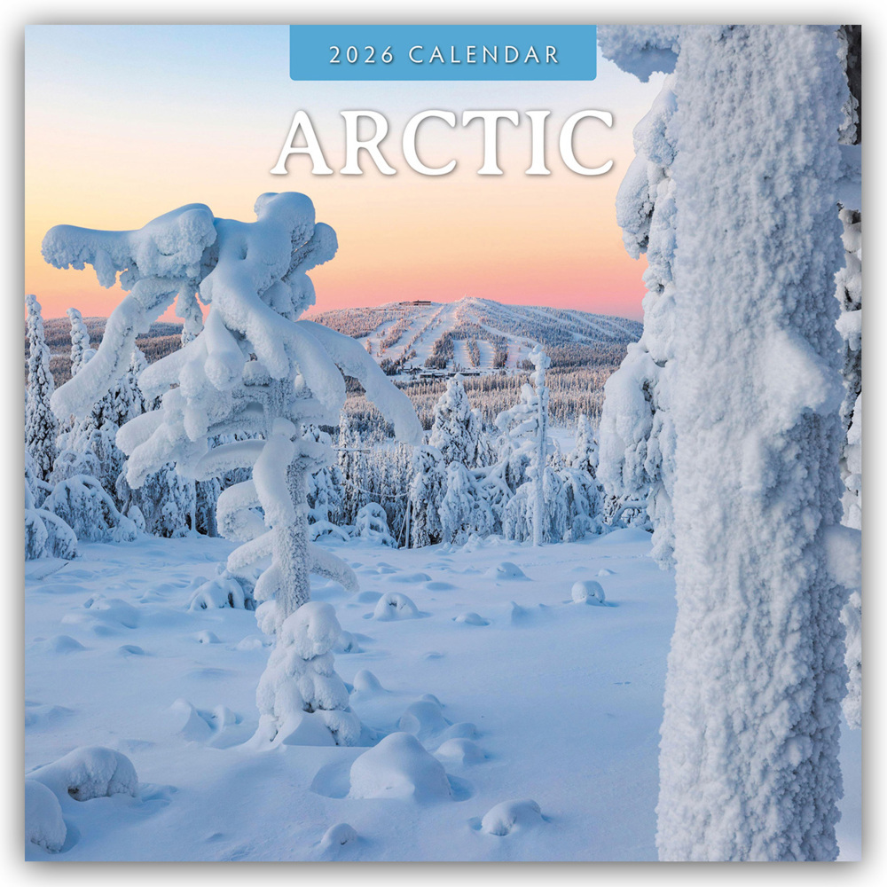 Arctic - Arktis 2026 - 16-Monatskalender main product photo