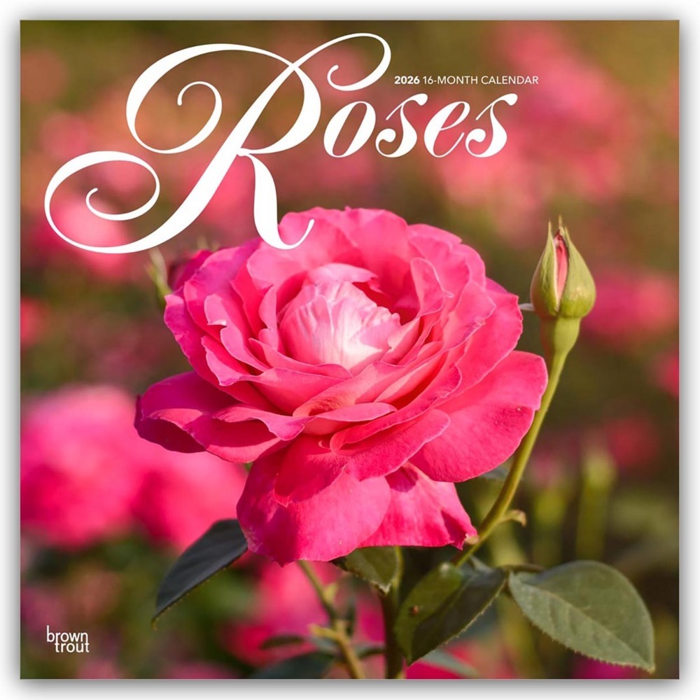 Roses - Rosen 2026 - 16-Monatskalender main product photo
