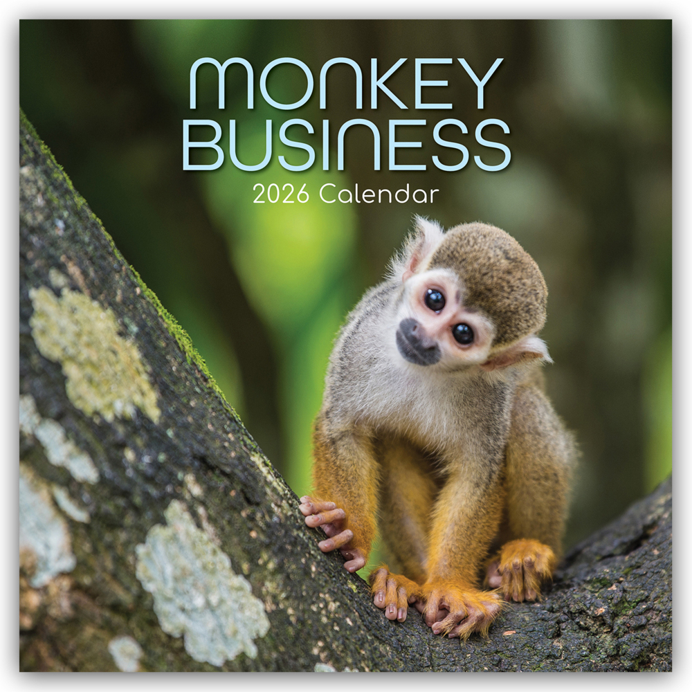 Monkey Business 2026 - 16-Monatskalender main product photo